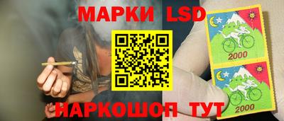 трава Камышлов
