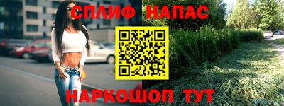 трава Камышлов