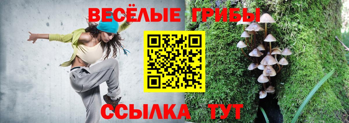 Псилоцибиновые грибы прущие грибы Лабытнанги