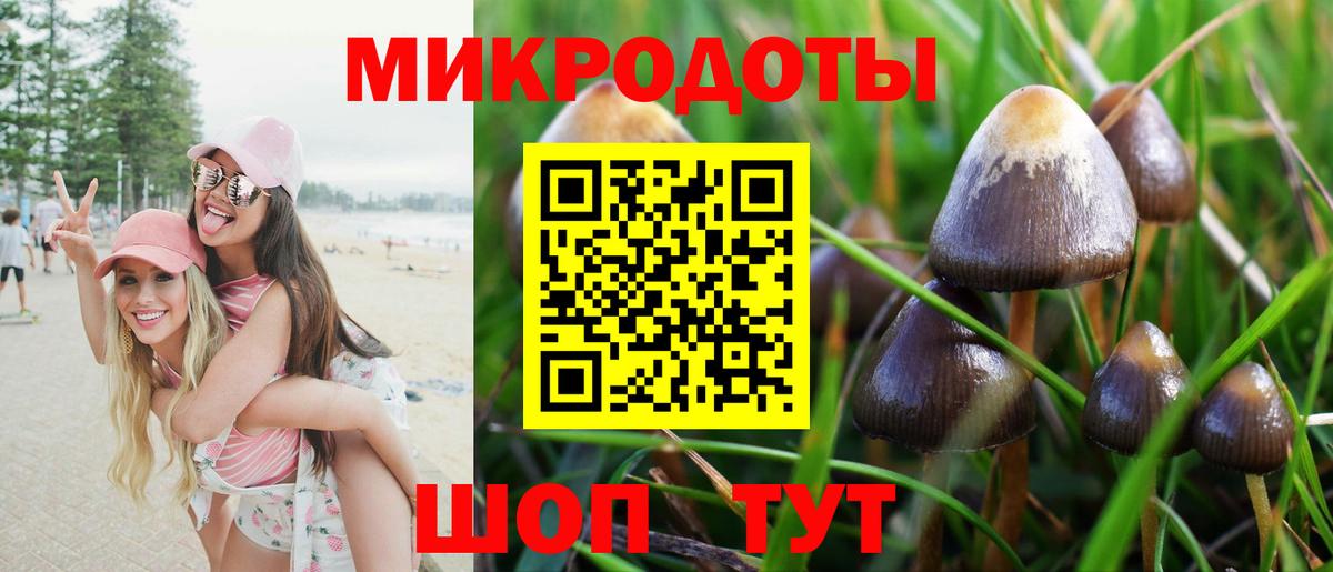Лабытнанги  Галлюциногенные грибы Magic Shrooms  Вход с VPN 